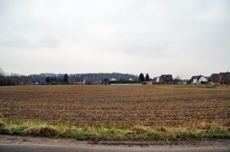 grube-carl