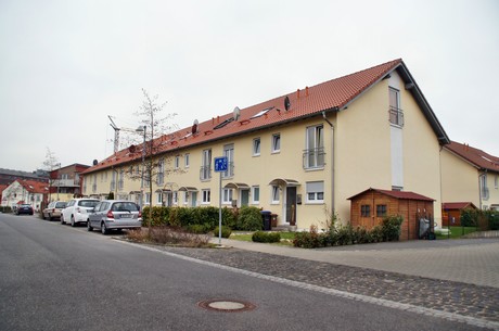 grube-carl