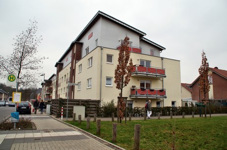 grube-carl