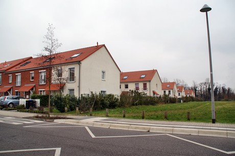 grube-carl