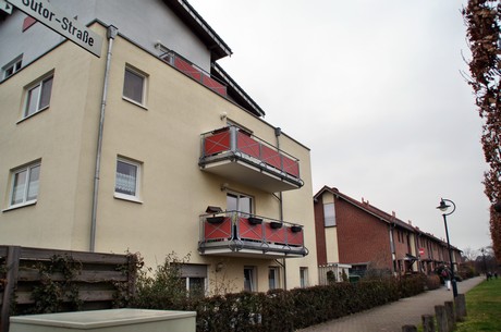 grube-carl