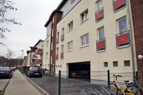 grube-carl