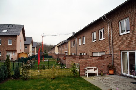grube-carl