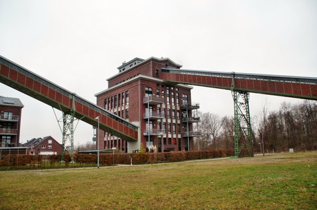 grube-carl