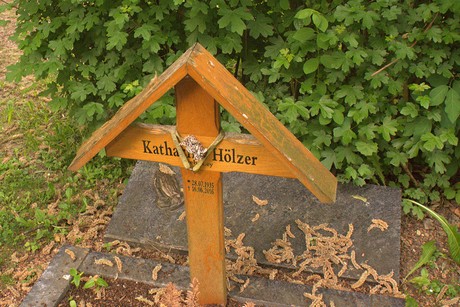 Habbeltath