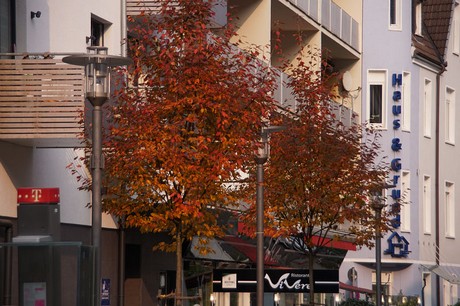 Hagen