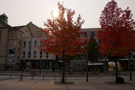 Hagen