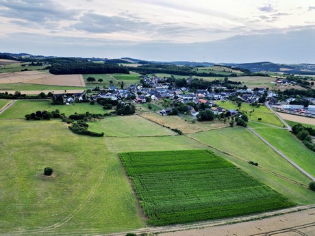 Harzheim