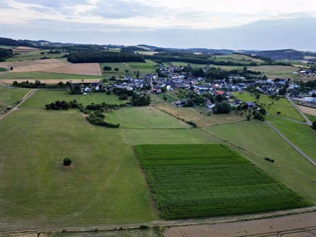 Harzheim