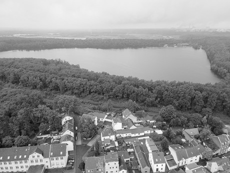 Heide