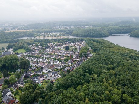 Heide
