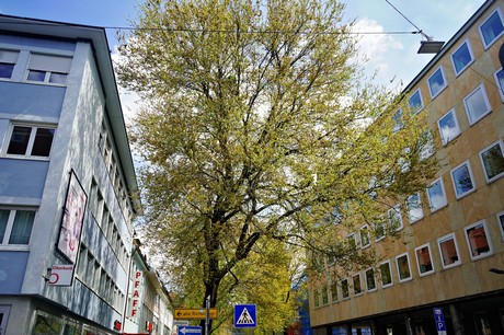 Heilbronn