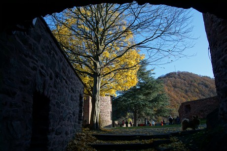heimbach