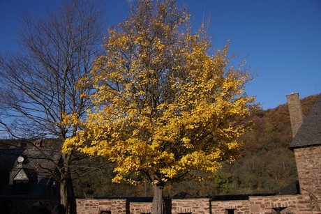 heimbach