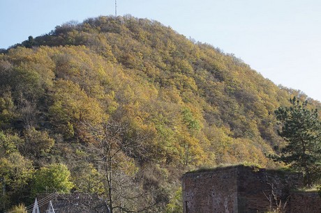 heimbach