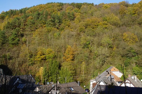 heimbach