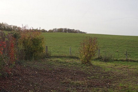 heimbach