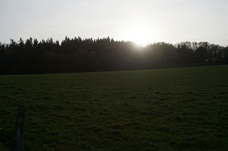 heimbach