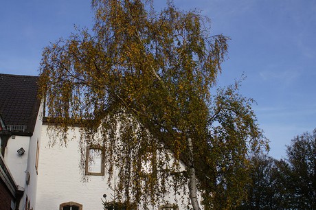 heimbach