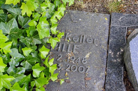 Heimerzheim