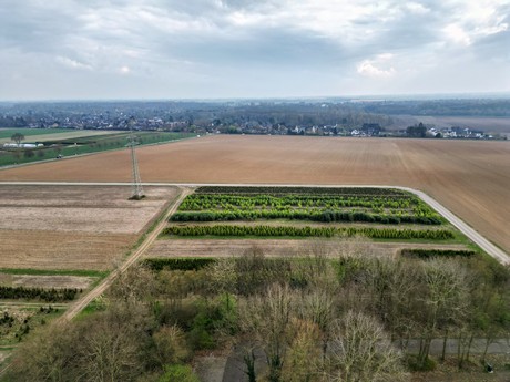 Hemmerden