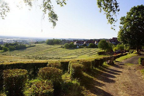 Hemmerich