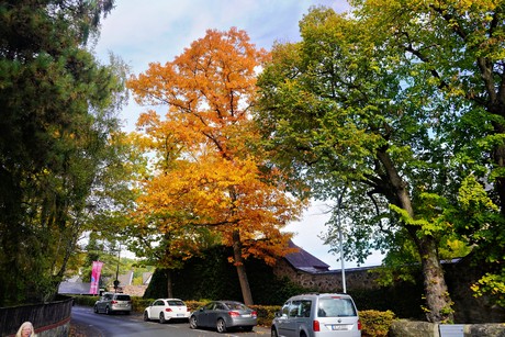 Herborn