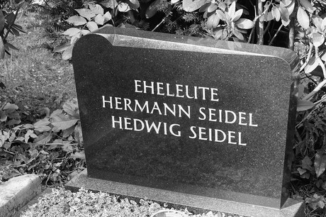 Hersel
