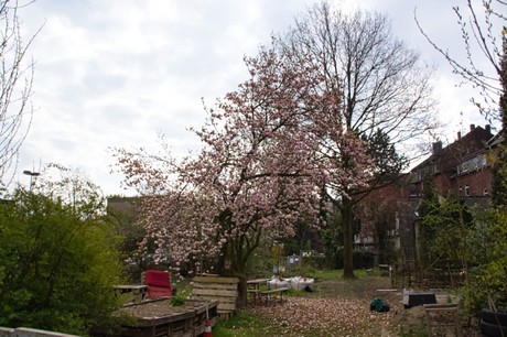 Herten