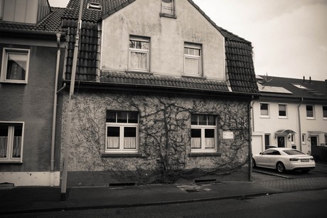 Hitdorf
