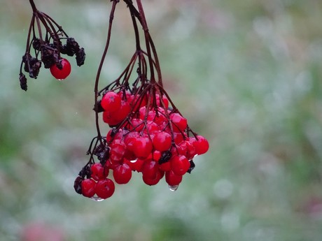 November