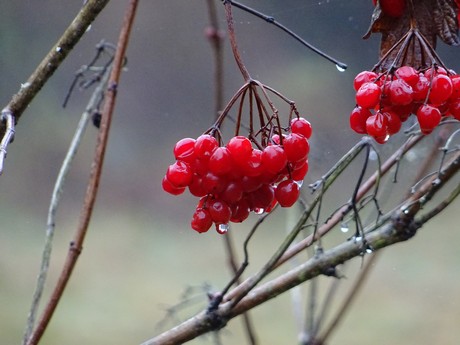 November