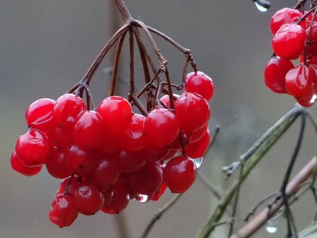November