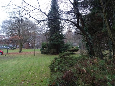 November