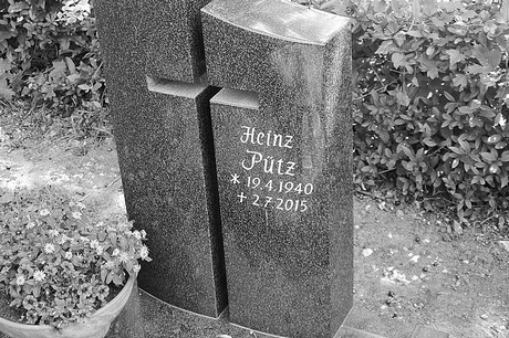 Hoholz