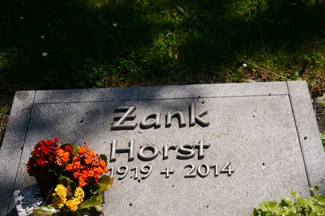 Hoholz