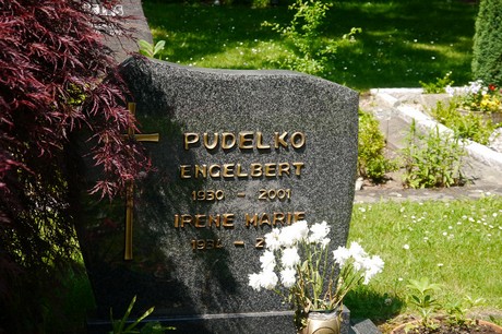 Hoholz