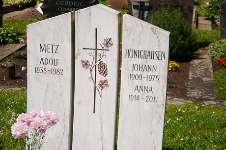 Hoholz