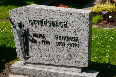 Hoholz