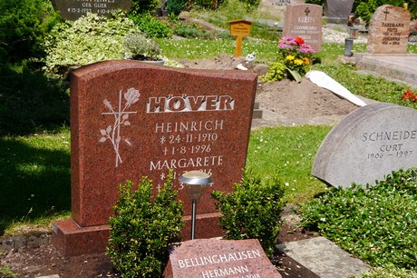 Hoholz
