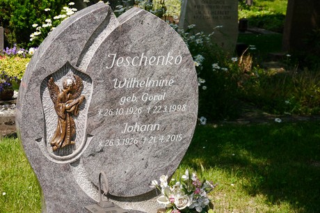 Hoholz