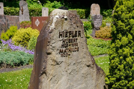 Hoholz