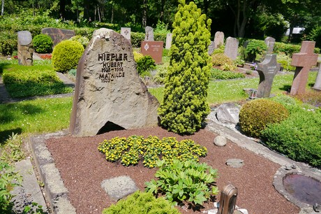 Hoholz