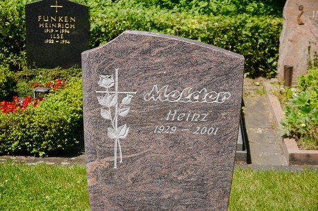 Hoholz