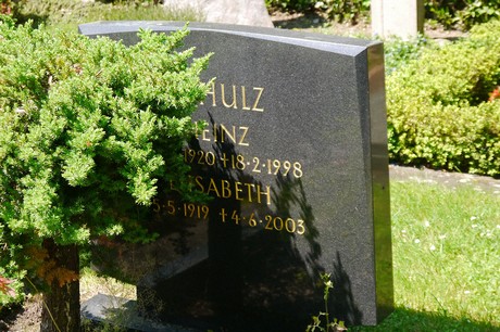 Hoholz