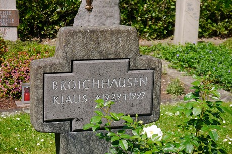 Hoholz