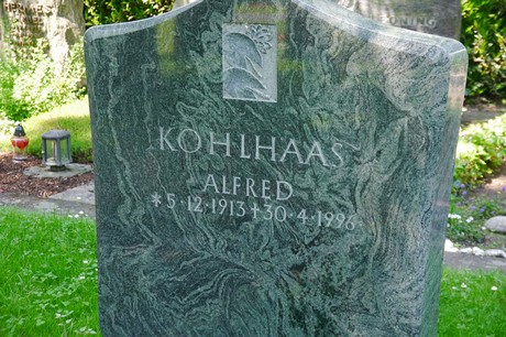 Hoholz