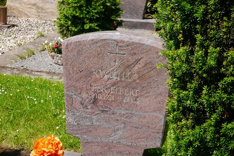 Hoholz