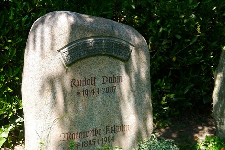 Hoholz