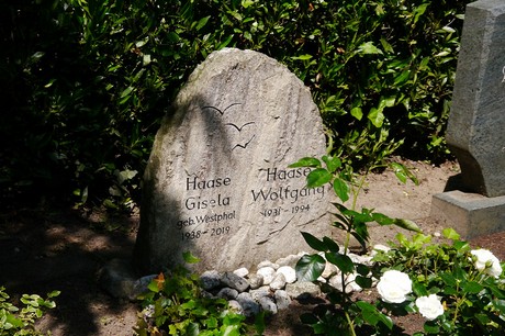 Hoholz